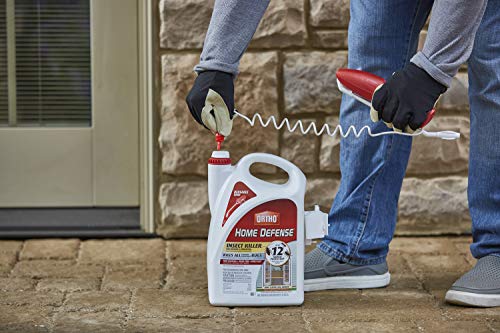 Ortho Home Defense Insect Killer for Indoor & Perimeter2 Ready-To-Use - With Trigger Sprayer, Long-Lasting Control, Kills Ants, Cockroaches, Spiders, Fleas & Ticks, Non-Staining, Odor Free, 1 gal.