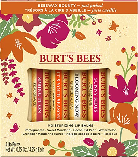 Burt's Bees Gift Set, 5 Essential Prodcuts, Deep Cleansing Cream, Hand Salve, Body Lotion, Foot Cream & Lip Balm, Travel Size