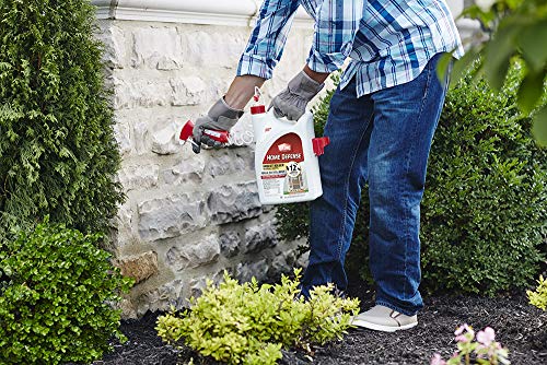 Ortho Home Defense Insect Killer for Indoor & Perimeter2 Ready-To-Use - With Trigger Sprayer, Long-Lasting Control, Kills Ants, Cockroaches, Spiders, Fleas & Ticks, Non-Staining, Odor Free, 1 gal.